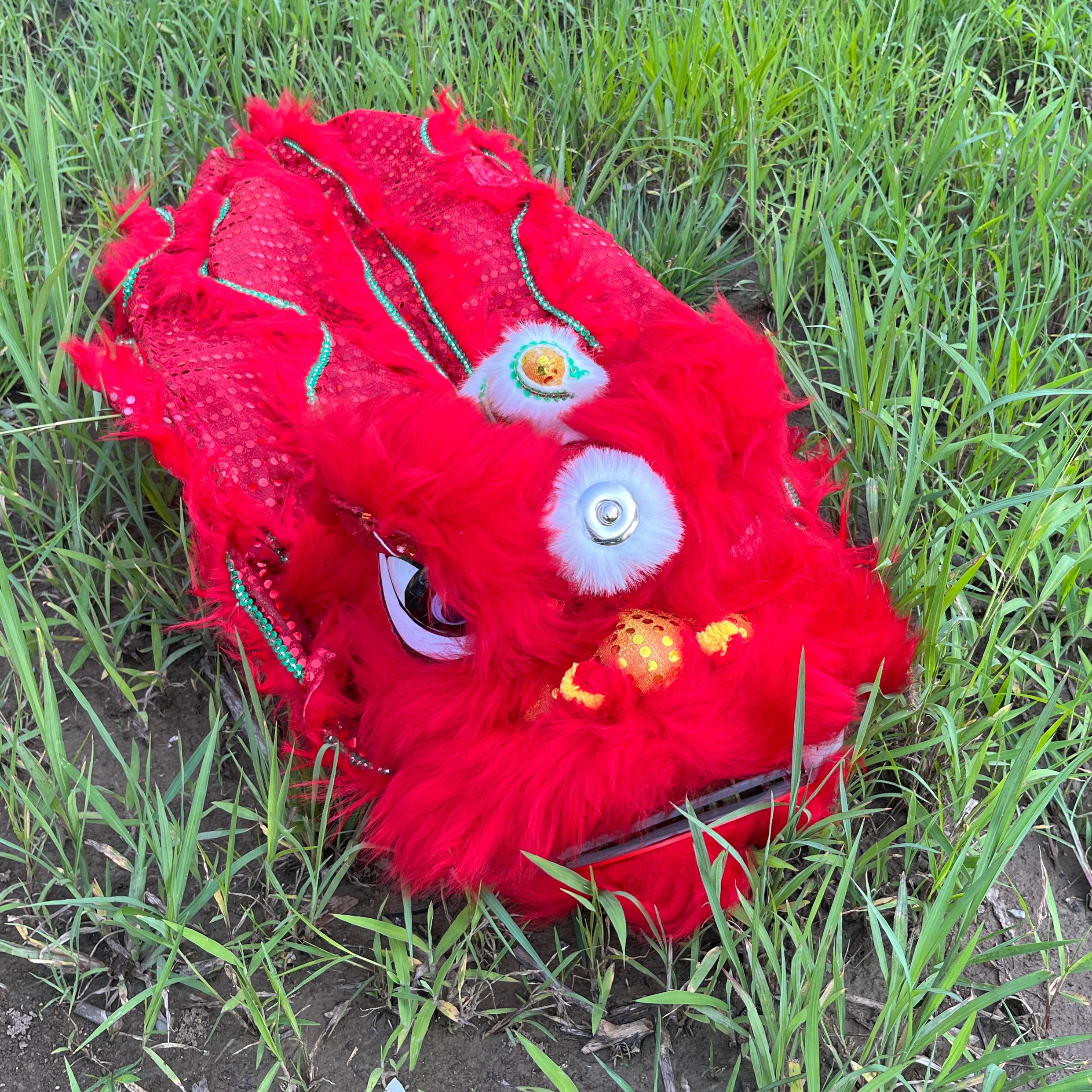 14 inch Lion Dance Costume  Ro - Outdoor Sport Festival recension och pris